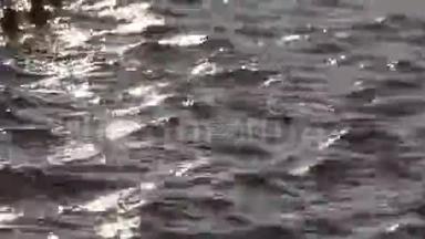 来自斯科普里喷泉中心的一段美丽的2段视频，一段瓦尔达河边喷泉的短视频